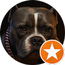 Profile photo of Josh Rotthoff