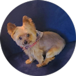 Profile photo of Michelle Warren