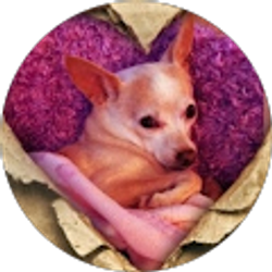 Profile photo of Lilia wong