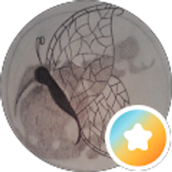 Profile photo of themeness1
