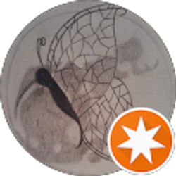 Profile photo of themeness1