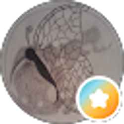 Profile photo of themeness1