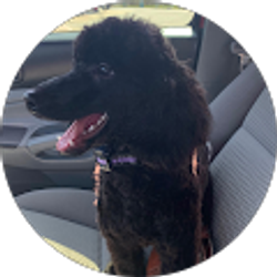 Profile photo of Jeni B.