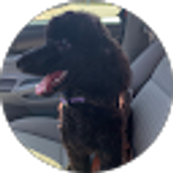 Profile photo of Jeni B.