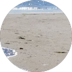 Profile photo of Melinda Frillman