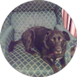 Profile photo of Faye Maroon