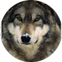 Profile photo of Glenda