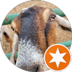 Profile photo of Andrew Smith