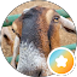 Profile photo of Andrew Smith