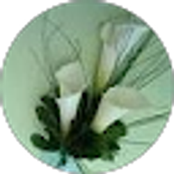 Profile photo of Alla L