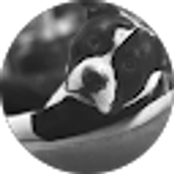 Profile photo of jim wrong