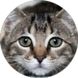 Profile photo of Amy Norris