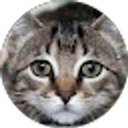 Profile photo of Amy Norris