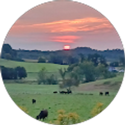 Profile photo of Linda Rickert