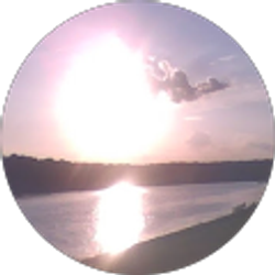 Profile photo of William Todd