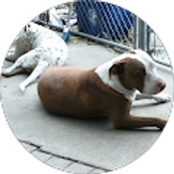 Profile photo of Justina Baumlin