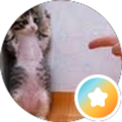 Profile photo of Joe Shawarby