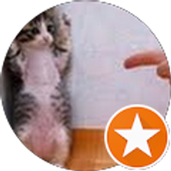 Profile photo of Joe Shawarby