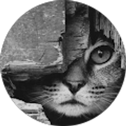 Profile photo of Erin Lynn Hardwick