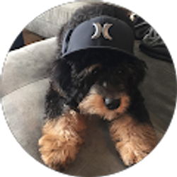 Profile photo of C T (CT20)