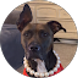 Profile photo of Stephanie Pelan