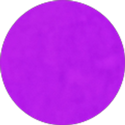 Profile photo of Cara Saccente