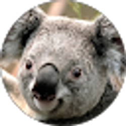 Profile photo of Kathy Hilldoerfer