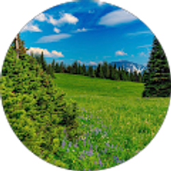 Profile photo of Mama T