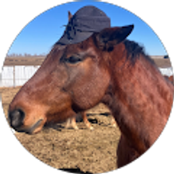 Profile photo of Greg Brown