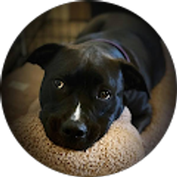 Profile photo of Tiffany Slater