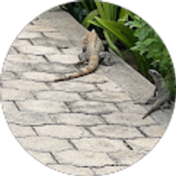 Profile photo of Hassan Khan