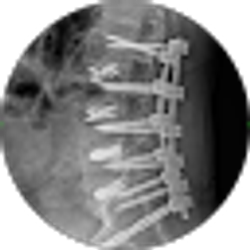 Profile photo of Richard Roosa