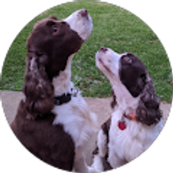 Profile photo of Nancy Hartinger