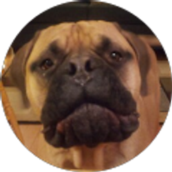 Profile photo of Mark Wiecek