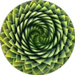 Profile photo of Dr. N. M.