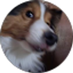 Profile photo of Dean Sugar
