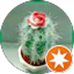 Profile photo of Anne Ostermeier Tulloch