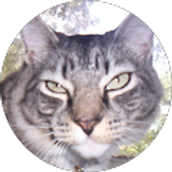 Profile photo of Hazcat 640