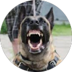 Profile photo of TRXREBL6-2 Dodge