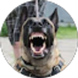 Profile photo of TRXREBL6-2 Dodge