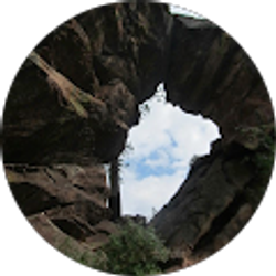 Profile photo of Bonnie Mauer