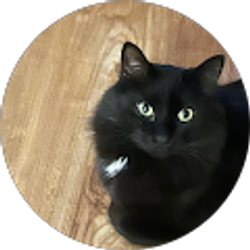 Profile photo of Lynda Kludt