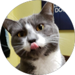 Profile photo of David Schwenk
