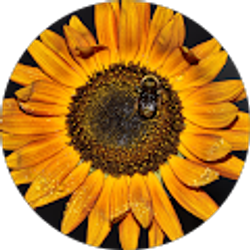 Profile photo of Eric Andrade