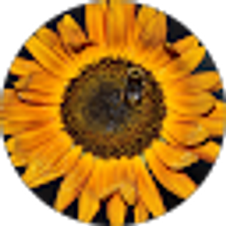 Profile photo of Eric Andrade