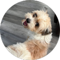 Profile photo of Pinky Star