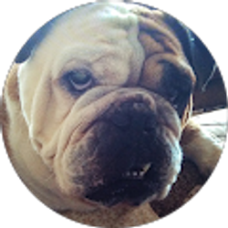 Profile photo of kelly gomes