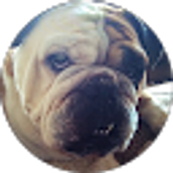 Profile photo of kelly gomes