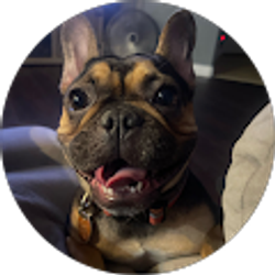 Profile photo of Irmarie Santaella