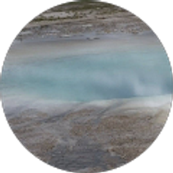 Profile photo of Karin Susskind